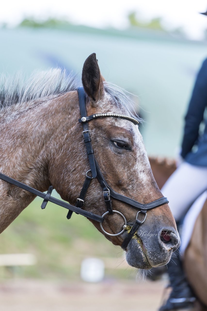 Bild 656 - Pony Akademie Turnier